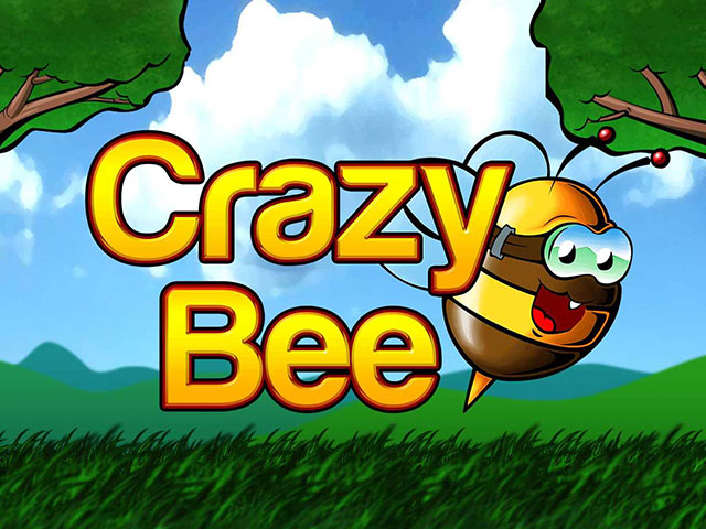 Crazy Bee